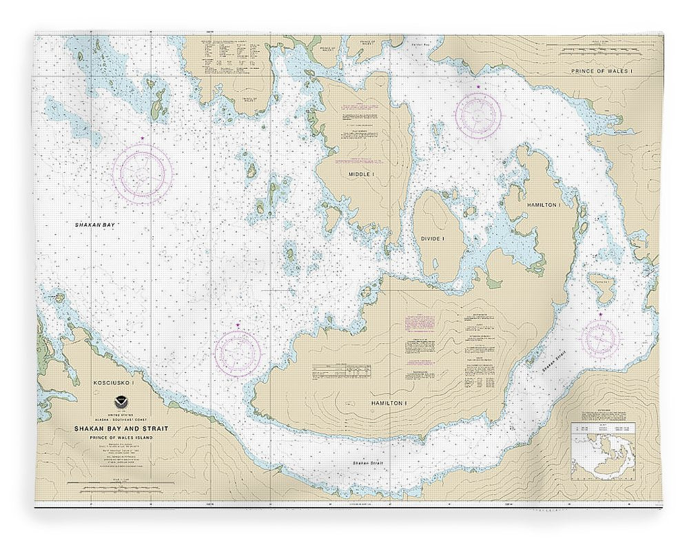 Nautical Chart-17379 Shakan Bay-strait, Alaska - Blanket