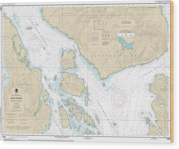 Nautical Chart-17383 Snow Passage, Alaska Wood Print