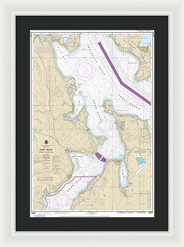 Nautical Chart-18477 Puget Sound-entrance-hood Canal - Framed Print