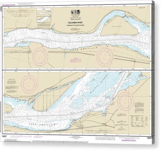 Nautical Chart-18537 Columbia River Alderdale-Blalock Islands  Acrylic Print