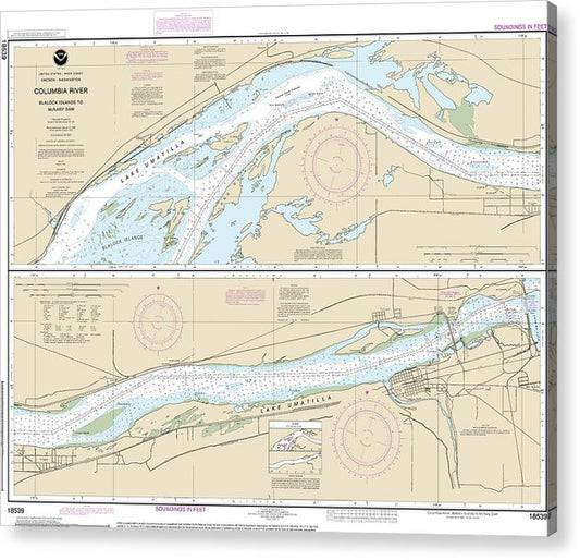 Nautical Chart-18539 Columbia River Blalock Islands-Mcnary Dam  Acrylic Print