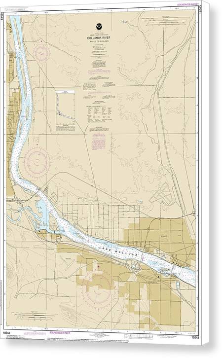 Nautical Chart-18543 Columbia River Pasco-richland - Canvas Print