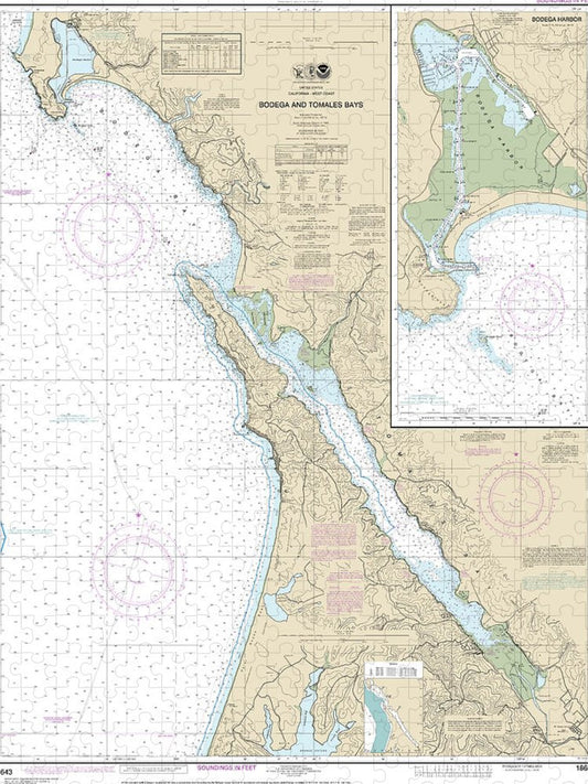 Nautical Chart 18643 Bodega Tomales Bays, Bodega Harbor Puzzle