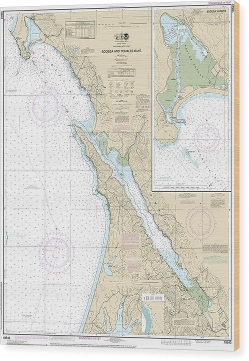 Nautical Chart-18643 Bodega-Tomales Bays, Bodega Harbor Wood Print