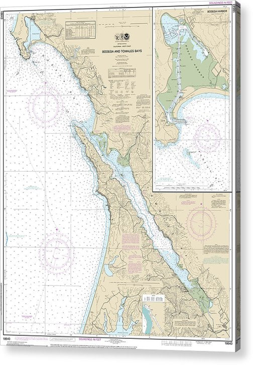 Nautical Chart-18643 Bodega-Tomales Bays, Bodega Harbor  Acrylic Print