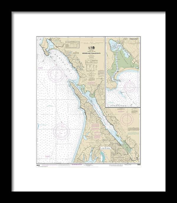 Nautical Chart-18643 Bodega-tomales Bays, Bodega Harbor - Framed Print
