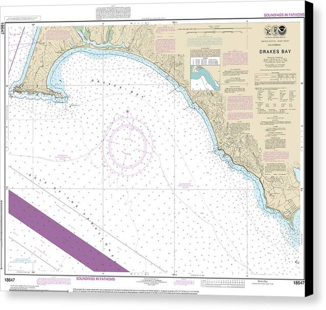 Nautical Chart-18647 Drakes Bay - Canvas Print