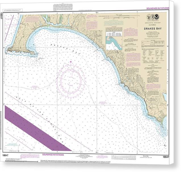 Nautical Chart-18647 Drakes Bay - Canvas Print