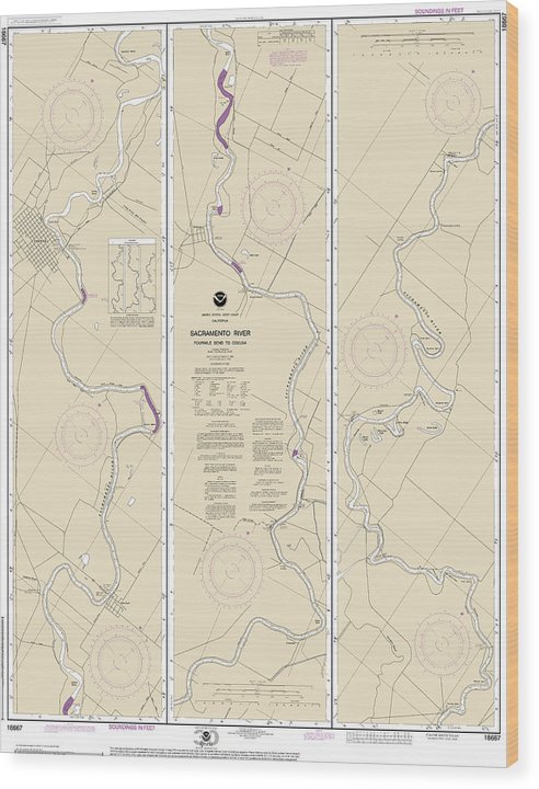 Nautical Chart-18667 Sacramento River Fourmile Bend-Colusa Wood Print