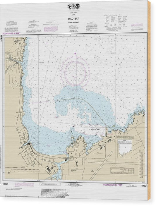 Nautical Chart-19324 Island-Hawaii Hilo Bay Wood Print