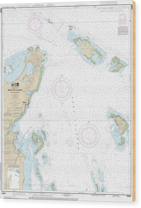 Nautical Chart-25667 Bahia De Fajardo-Approaches Wood Print