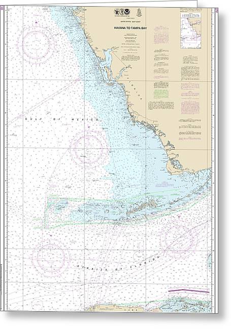 Nautical Chart-4148 Havana-tampa Bay - Greeting Card