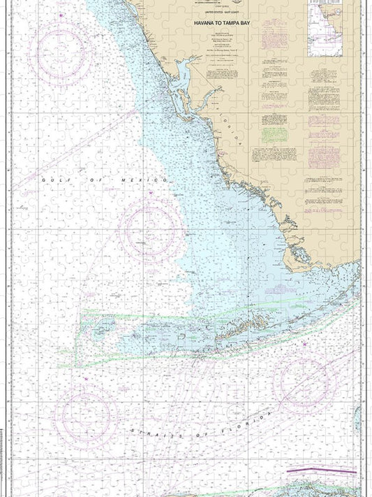 Nautical Chart 4148 Havana Tampa Bay Puzzle