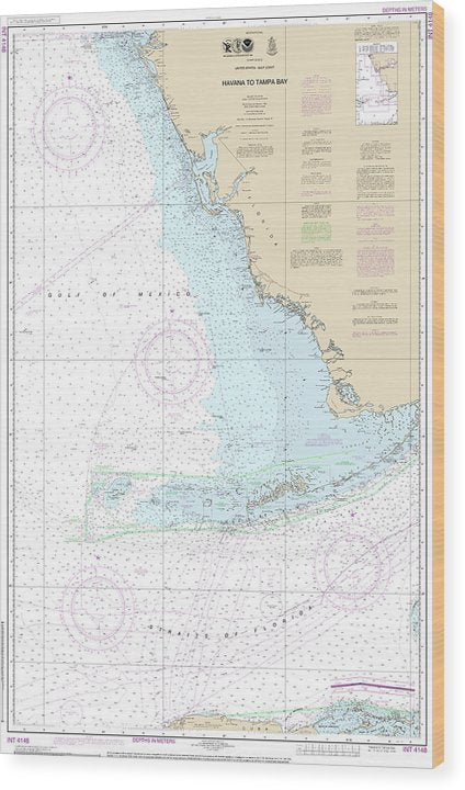 Nautical Chart-4148 Havana-Tampa Bay Wood Print