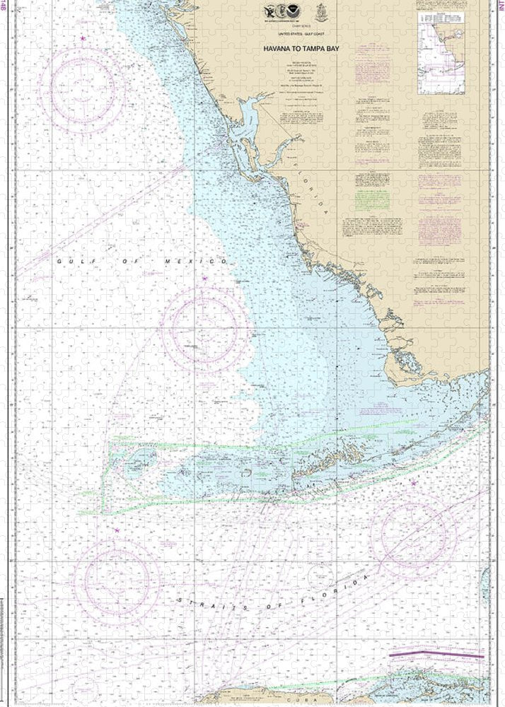 Nautical Chart-4148 Havana-tampa Bay - Puzzle