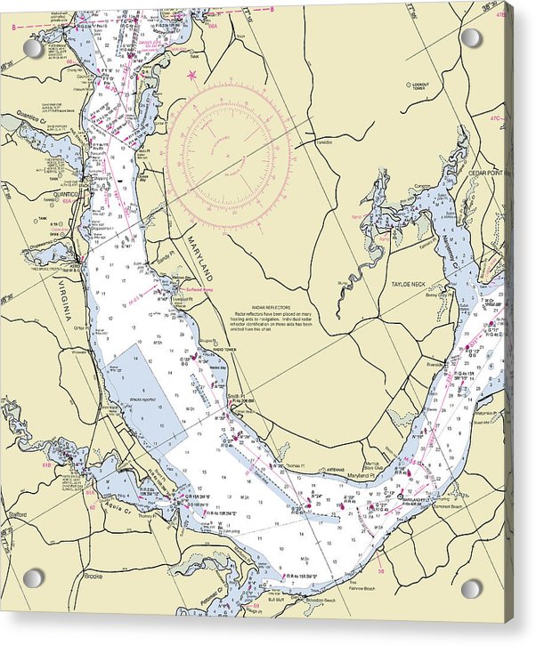 Quantico Virginia Nautical Chart - Acrylic Print