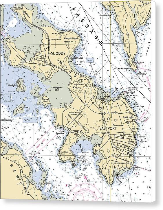 Quoddy Eastport-maine Nautical Chart - Canvas Print