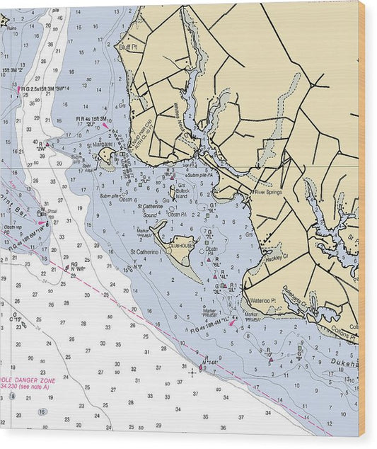 River Springs-Maryland Nautical Chart Wood Print