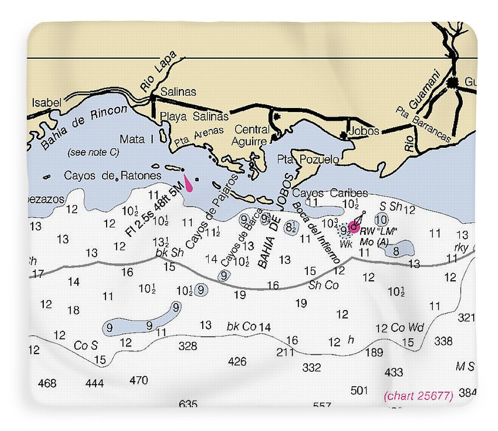 Salinas-puerto Rico Nautical Chart - Blanket