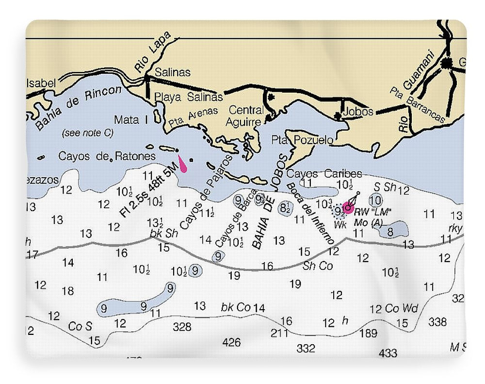 Salinas-puerto Rico Nautical Chart - Blanket