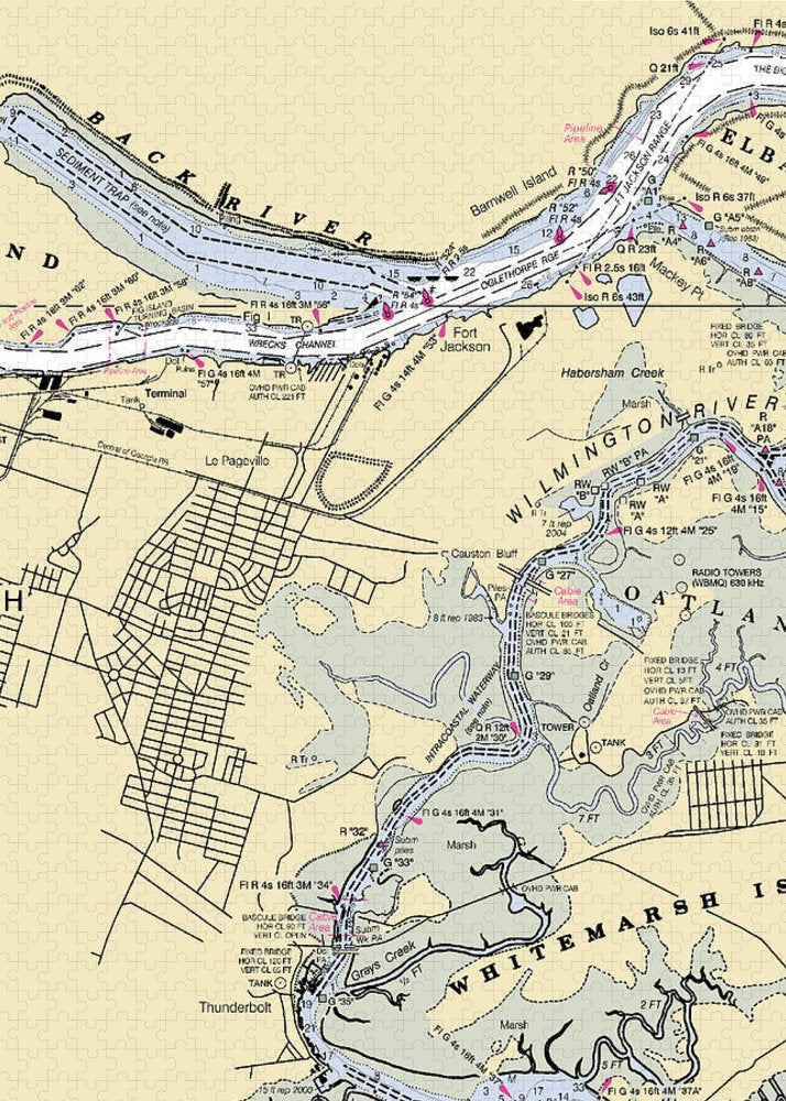 Savannah -georgia Nautical Chart _v2 - Puzzle