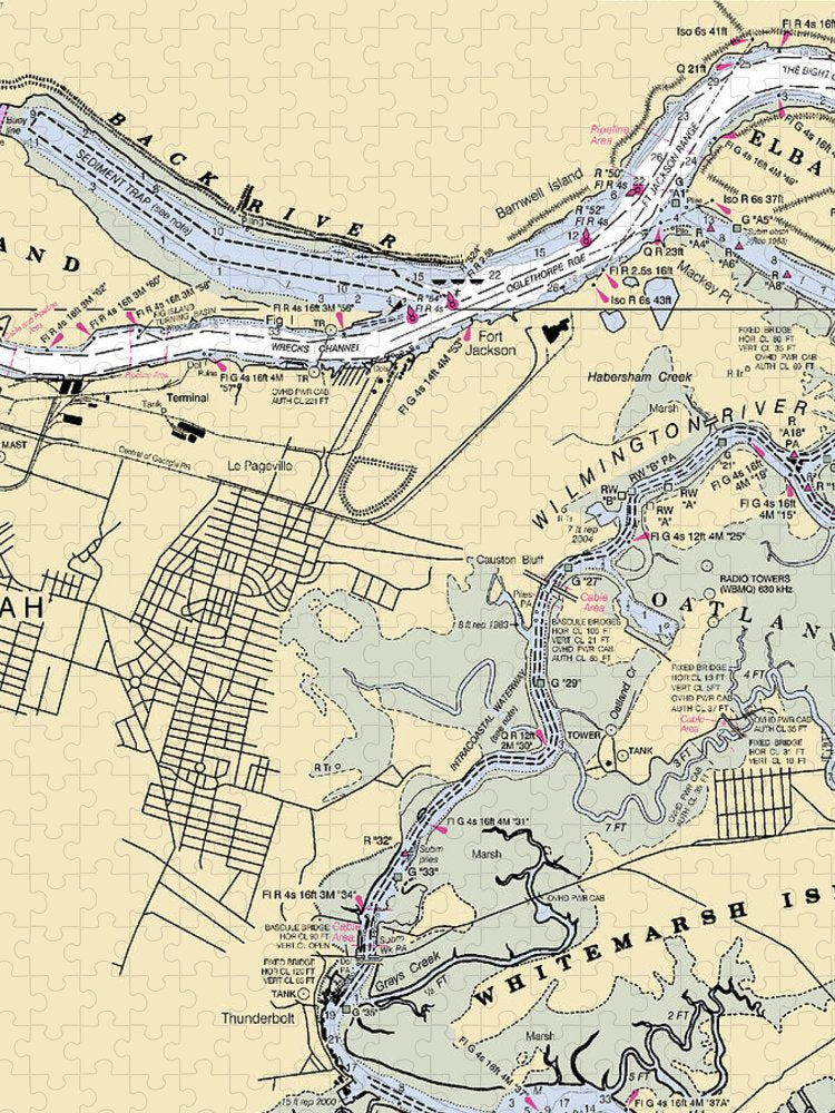 Savannah  Georgia Nautical Chart _V2 Puzzle