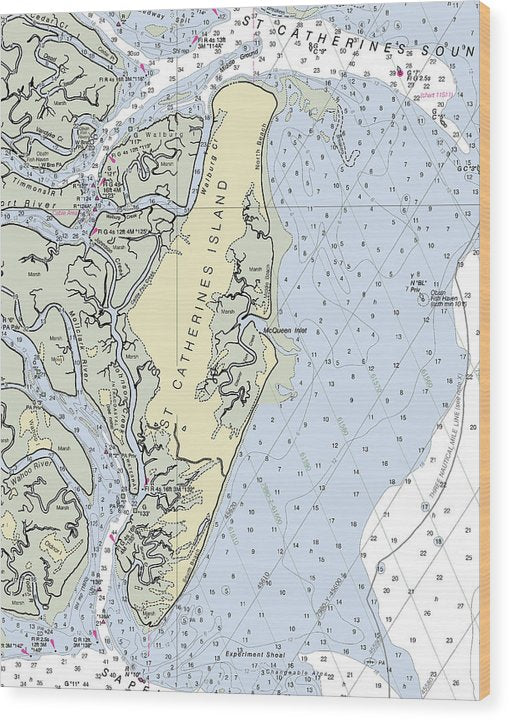 St Catherines Island Georgia Nautical Chart Wood Print