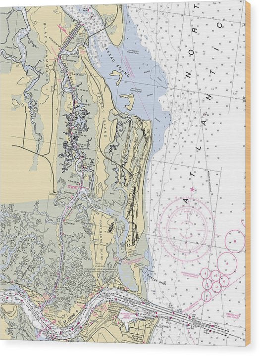 Talbot-Island -Florida Nautical Chart _V6 Wood Print