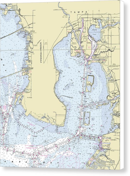 Tampa Florida Nautical Chart - Canvas Print