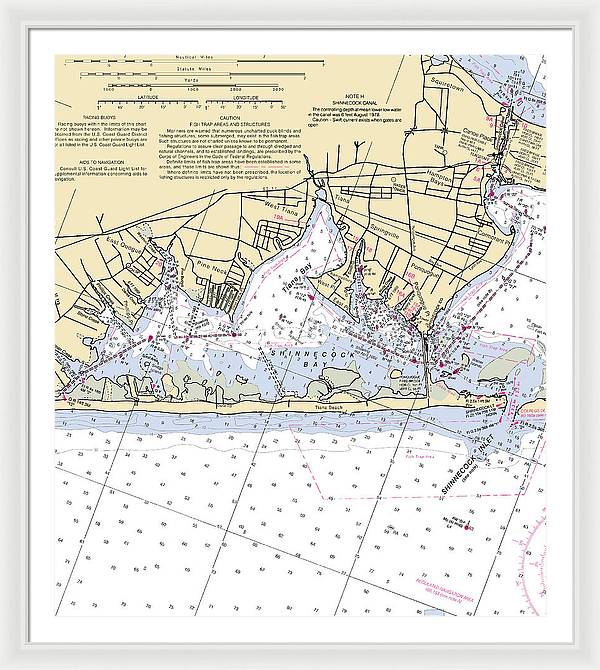 Tania Bay-new York Nautical Chart - Framed Print