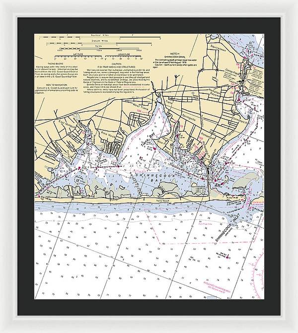 Tania Bay-new York Nautical Chart - Framed Print