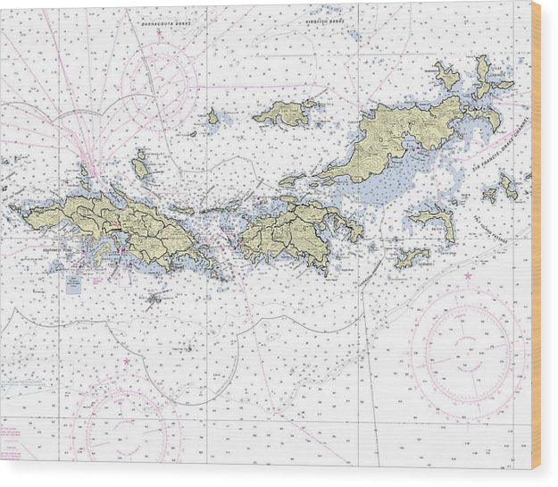Virgin Islands Nautical Chart Wood Print