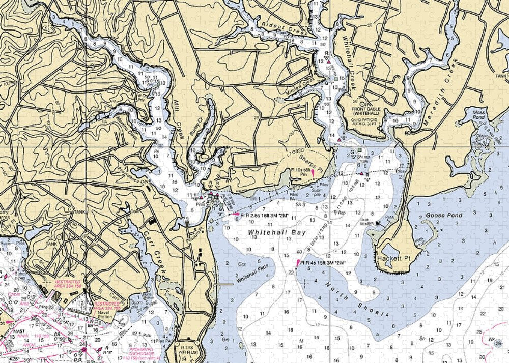 Whitehall Bay-maryland Nautical Chart - Puzzle